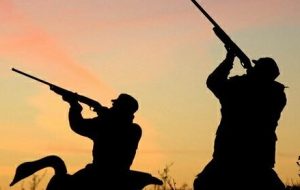 شکارچی کل های وحشی در لنده ۵۰ میلیون تومان جریمه شد