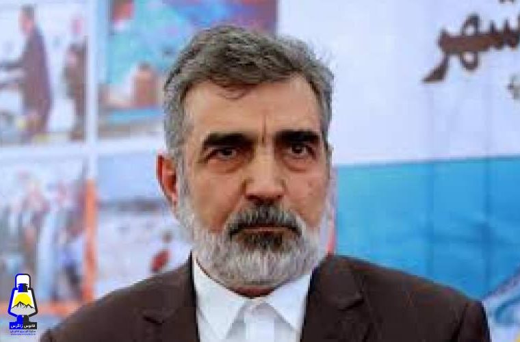 سخنگوی سازمان انرژی اتمی دچار حادثه شد