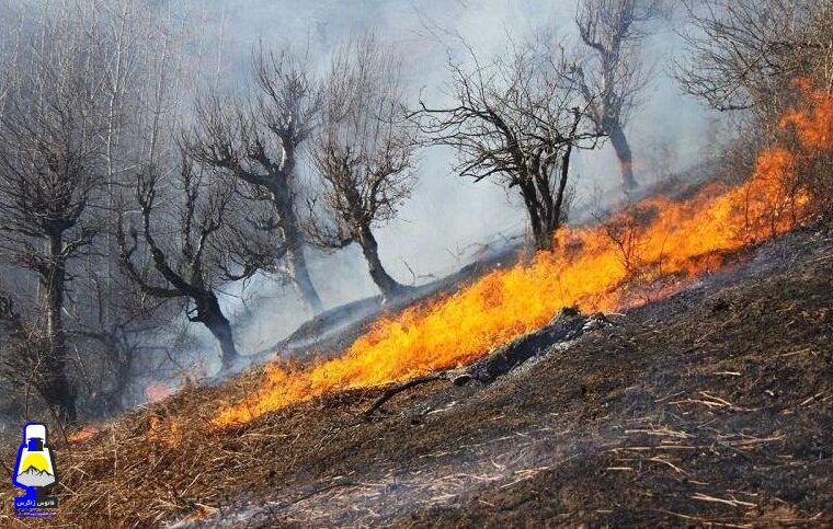 آتش سوزی در ارتفاعات  و منطقه حفاظت شده کوه دیل گچساران همچنان ادامه دارد