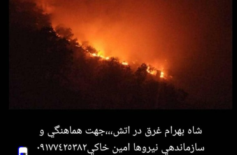 آتش سوزی گسترده در جنگلهای شاه بهرام و شادگان در شهرستان باشت/درخواست کمک از مردم و مسولین