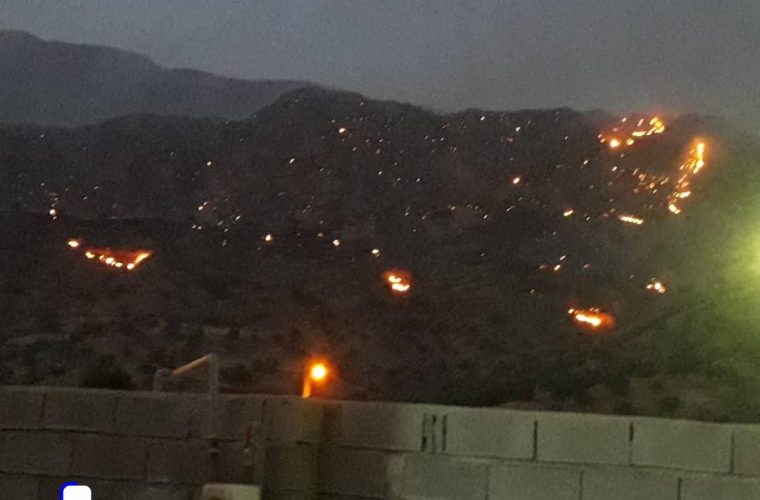 فاجعه زیست محیطی در شهرستان باشت ؛ آتش به کوه لار رسید+تصاویر