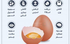 بیست و دو اتفاق عجیب که تخم مرغ برایمان رقم می‌زند