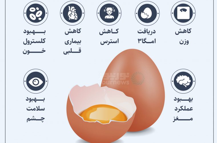 بیست و دو اتفاق عجیب که تخم مرغ برایمان رقم می‌زند