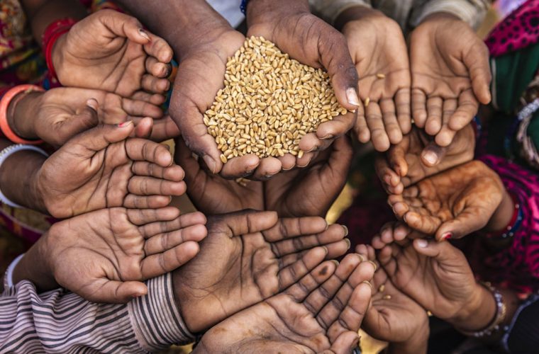 جنگ جهانی گندم سنگر خودکفایی بگیرید
