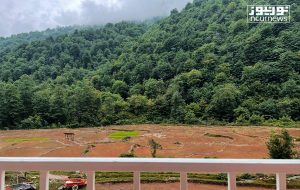 طبیعت زیبای ماسال در سبزترین فصل سال