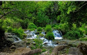 طبیعت زیبای رود رونه در شهرستان باشت+تصاویر