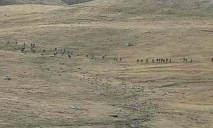 بعد از کشته‌شدن ۱۵۵ سرباز، ایروان و باکو بر سر توقف درگیری‌ها توافق کردند