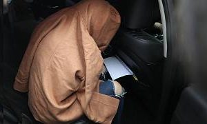 جسد دو کودک در چمدانی در نیوزیلند ؛ «مادر قاتل» در کره جنوبی دستگیر شد