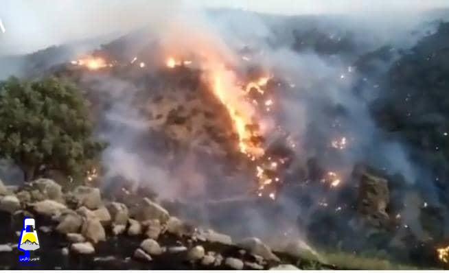 آتش سوزی به ۳۰۰ هکتار از جنگل ها و مراتع باشت خسارت زد آتش سوزی به ۳۰۰ هکتار از جنگل ها و مراتع باشت خسارت زد