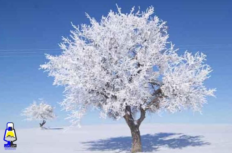 سرما در تابستان!