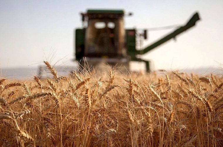 5 اقدام مهم دولت سیزدهم در بخش کشاورزی 5 اقدام مهم دولت سیزدهم در بخش کشاورزی