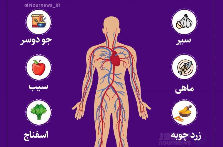 اینفوگرافی؛ 8 خوراکی مفید برای پاکسازی رگ‌های بدن