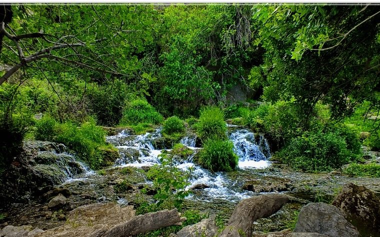 طبیعت زیبای رود رونه در شهرستان باشت+تصاویر