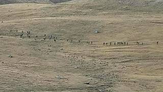 بعد از کشته‌شدن ۱۵۵ سرباز، ایروان و باکو بر سر توقف درگیری‌ها توافق کردند